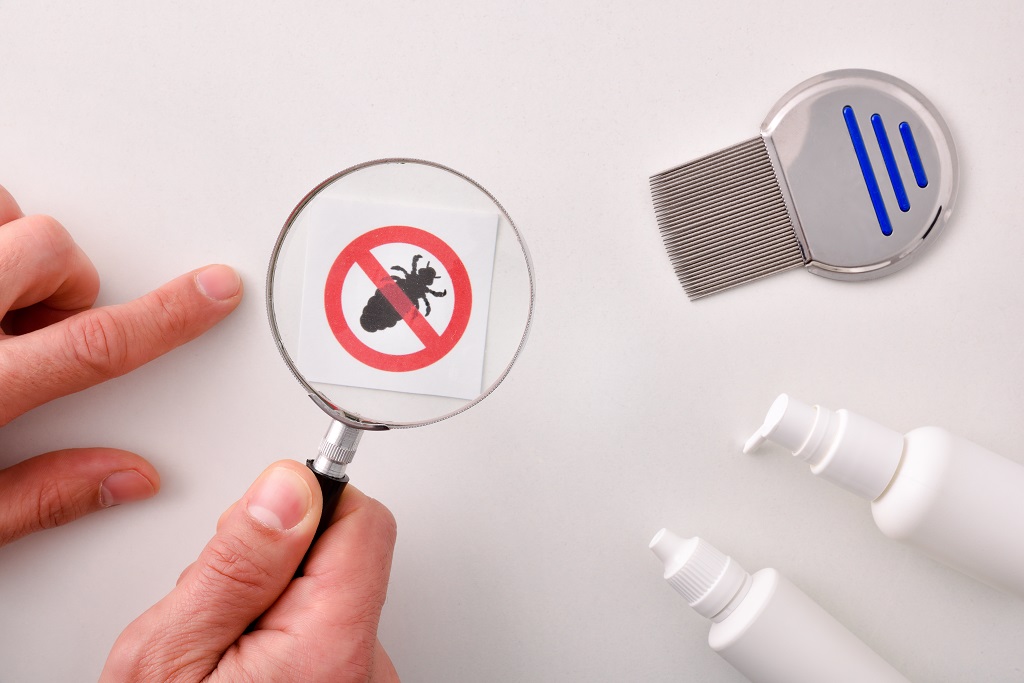 What Can Kill Lice On Furniture and at Home Cleaning House After Lice